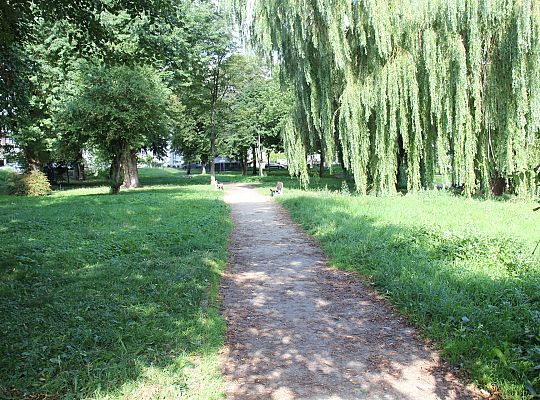 Ruszyła przebudowa Parku im. Marii i Lecha 50958