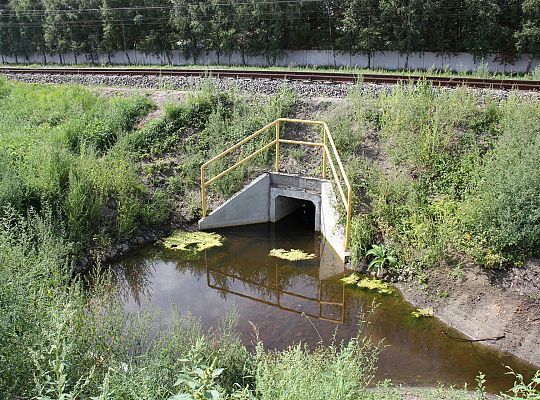 Nowa droga połączyła ulice Kossaka przez Nadmorską 51028