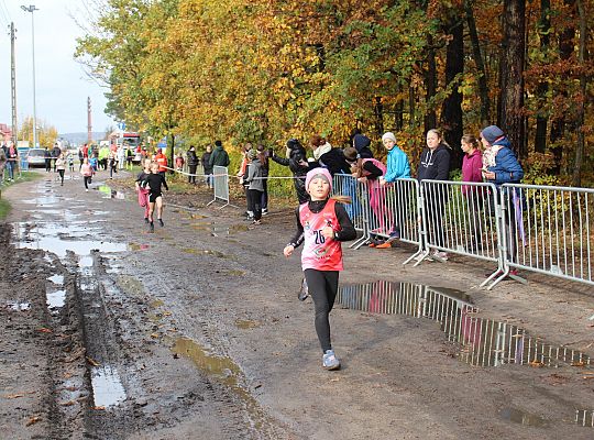 Biegi Przełajowe z okazji Święta Niepodległości 52161