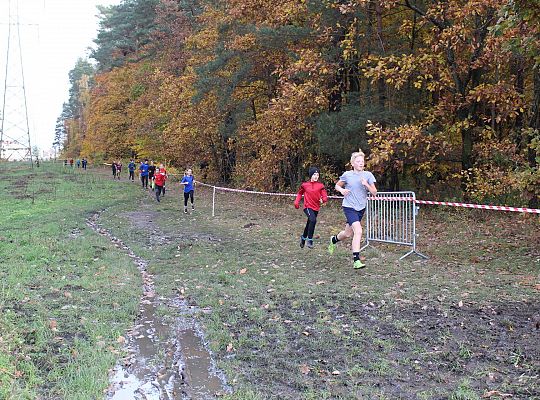 Biegi Przełajowe z okazji Święta Niepodległości 52174