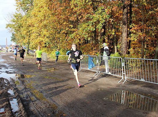 Biegi Przełajowe z okazji Święta Niepodległości 52181