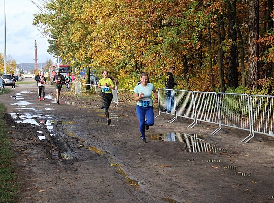 Biegi Przełajowe z okazji Święta Niepodległości 52201