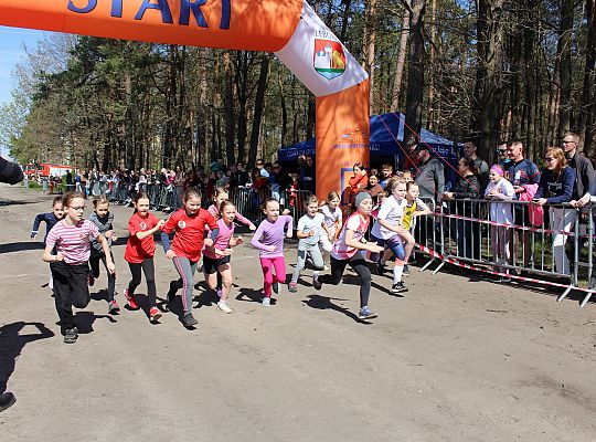 Indywidualne Biegi Przełajowe o Puchar Konstytucji 54293