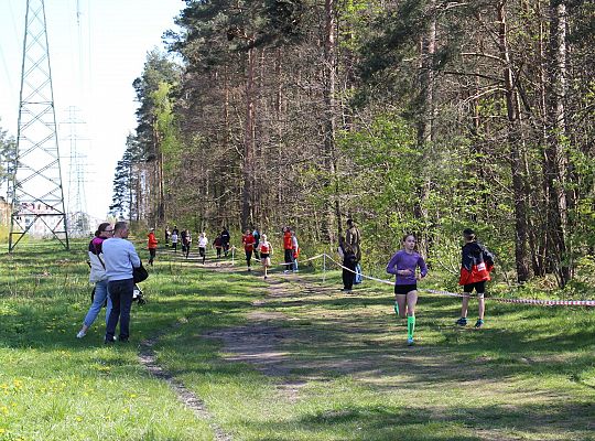 Indywidualne Biegi Przełajowe o Puchar Konstytucji 54314