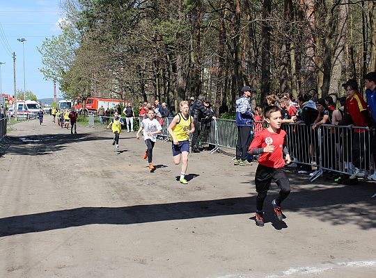 Indywidualne Biegi Przełajowe o Puchar Konstytucji 54319