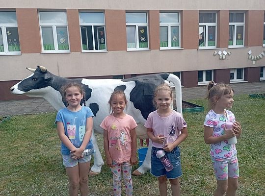 Piknik Rodzinny w Szkole Podstawowej nr 7 55062
