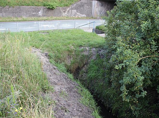 Akcja melioracja. Trwa koszenie i odmulanie rowów 55833