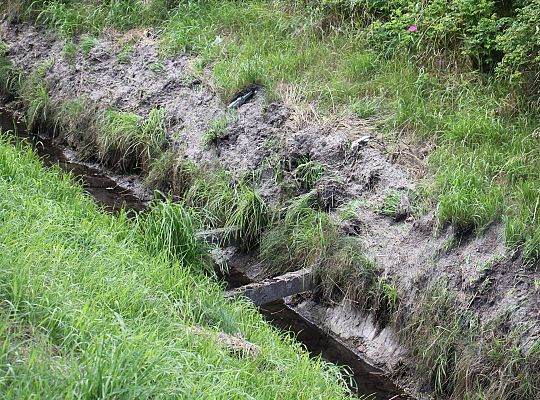 Akcja melioracja. Trwa koszenie i odmulanie rowów 55837