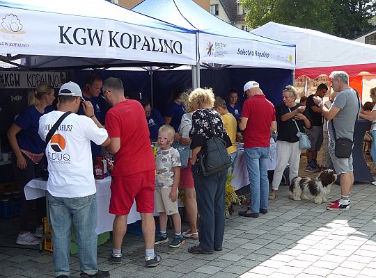Festyn Ceramiczny Lębork za nami. Działo się! 57232
