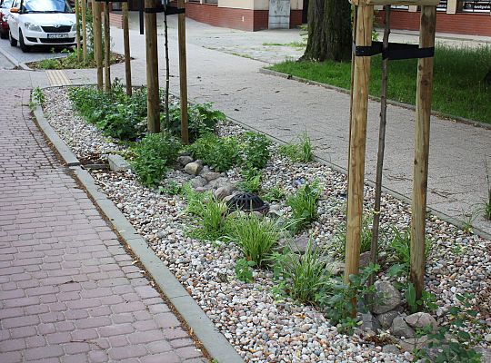Projekt „Rewitalizacja otoczenia Lęborskiego Węzła 57419