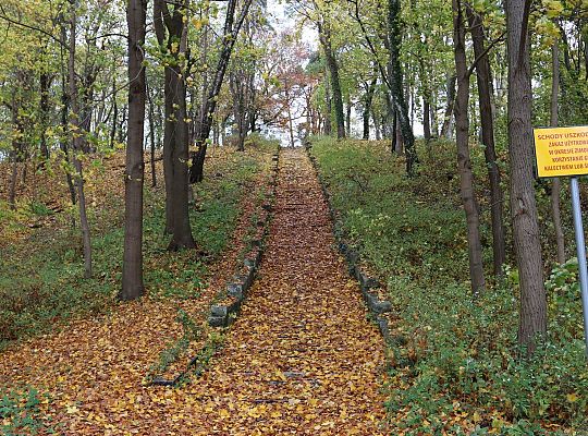 Start prac przy renowacji schodów do Wieży Ciśnień 58756