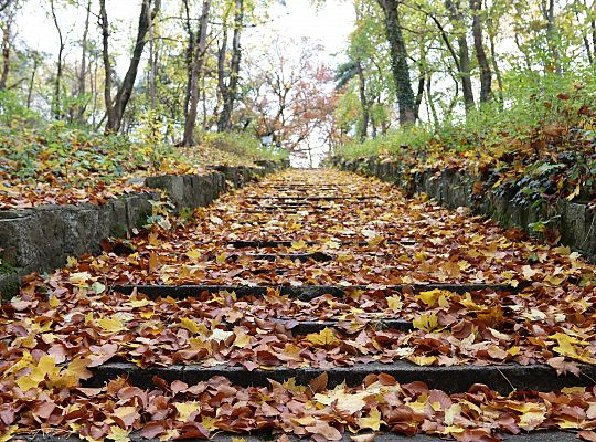 Start prac przy renowacji schodów do Wieży Ciśnień 58757