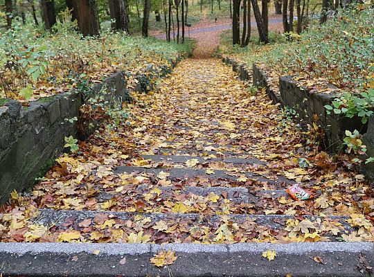Start prac przy renowacji schodów do Wieży Ciśnień 58758
