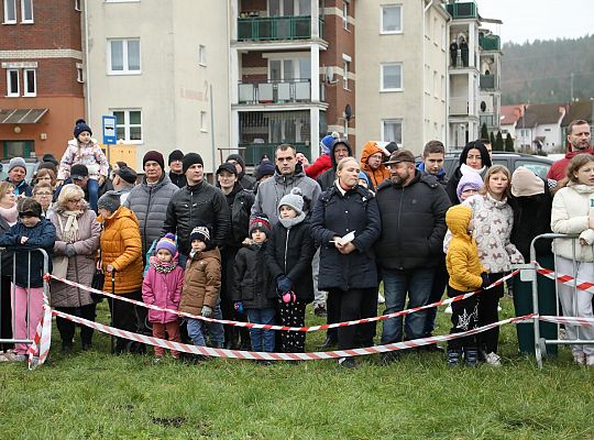 Widowisko historyczne z okazji Narodowego Święta 58977
