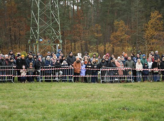Widowisko historyczne z okazji Narodowego Święta 58984