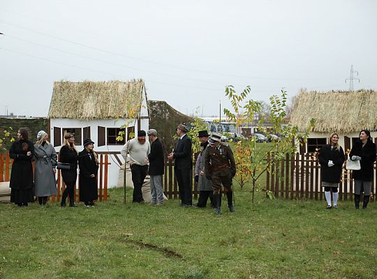 Widowisko historyczne z okazji Narodowego Święta 58991
