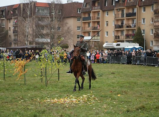 Widowisko historyczne z okazji Narodowego Święta 59002