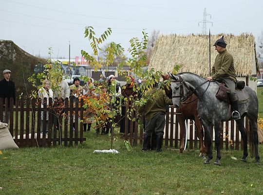 Widowisko historyczne z okazji Narodowego Święta 59017