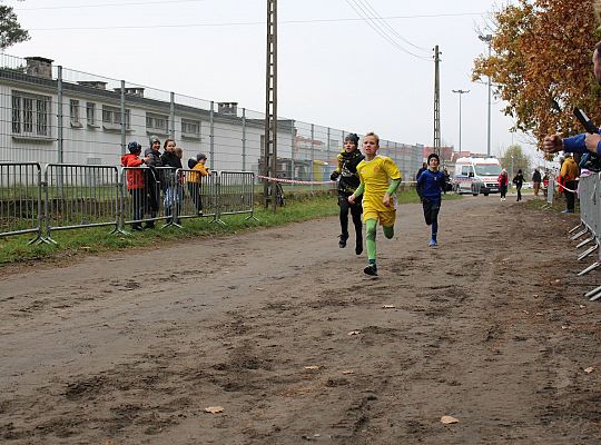 Pobiegli z okazji Święta Niepodległości 59071