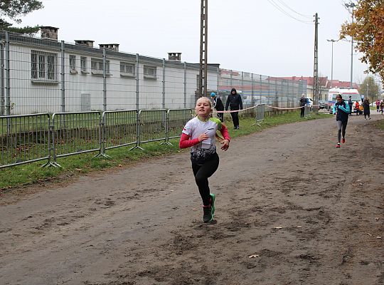 Pobiegli z okazji Święta Niepodległości 59074