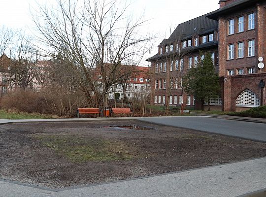 Park przy I LO po pierwszym etapie inwestycji 59944