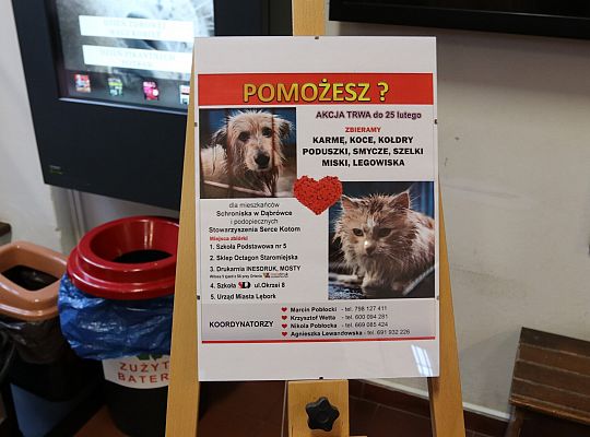 W ratuszu ruszyła zbiórka dla zwierząt 60449