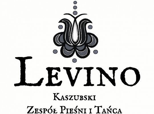 Zespół "Levino" pod skrzydłami 61273