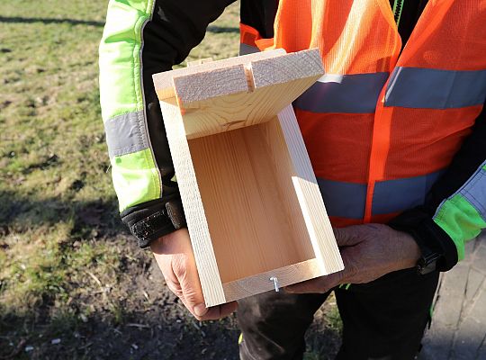 Nowe budki lęgowe dla ptaków już na drzewach 61510
