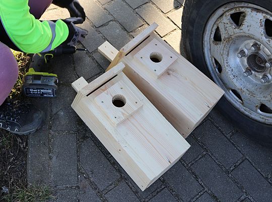 Nowe budki lęgowe dla ptaków już na drzewach 61516