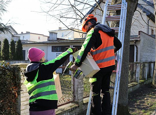 Nowe budki lęgowe dla ptaków już na drzewach 61517