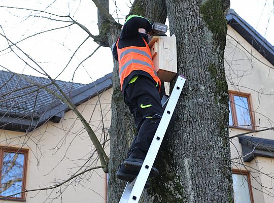 Nowe budki lęgowe dla ptaków już na drzewach 61519