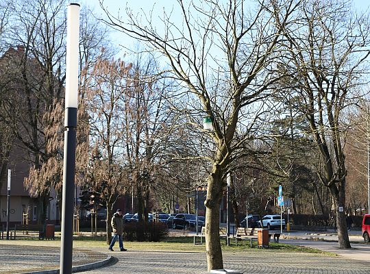 Nowe budki lęgowe dla ptaków już na drzewach 61521