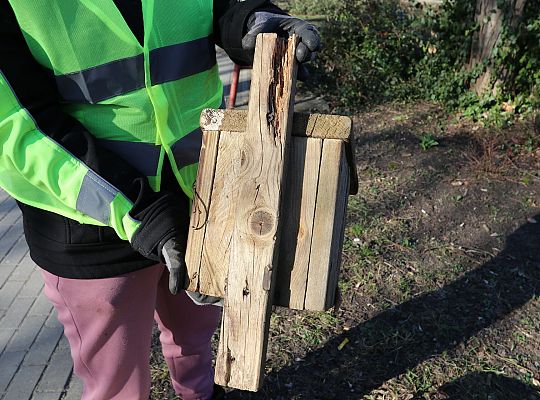 Nowe budki lęgowe dla ptaków już na drzewach 61527