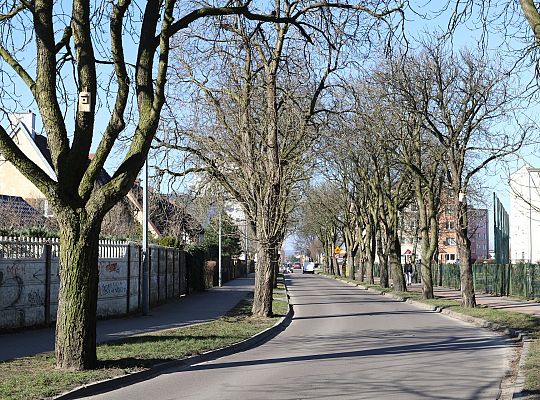 Nowe budki lęgowe dla ptaków już na drzewach 61529