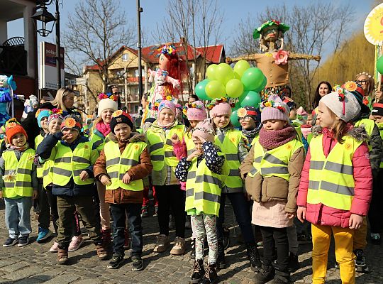 Wiosenny konkurs marzann nad rzeką Łebą 61821