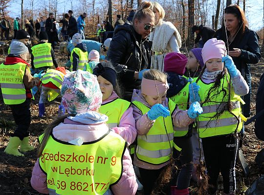 Wielka akcja wspólnego sadzenia lasu w 62057