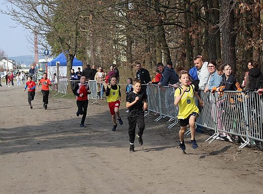 Biegacze wrócili do rywalizacji w Grand Prix 62144