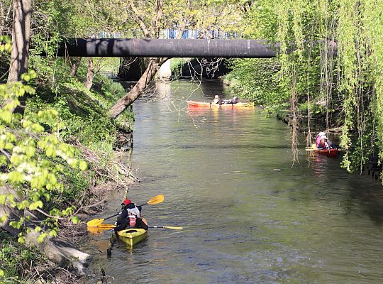 Mieszkańcy ruszyli nad Łebę – wspólne sprzątanie w 62561