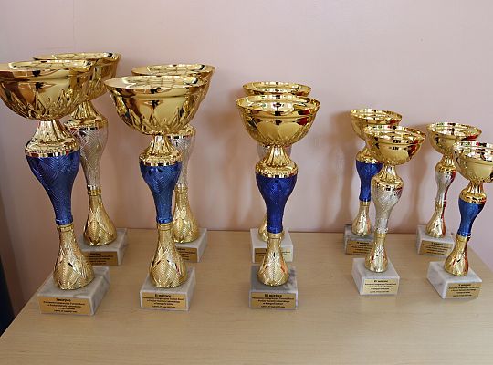 Boccia łączy pokolenia i samorządy! II Powiatowy 63454