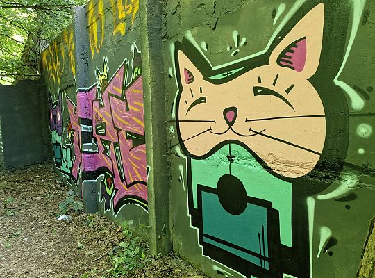 Bitwa o Miasto Lębork 2025 – eksplozja kolorów i 64999