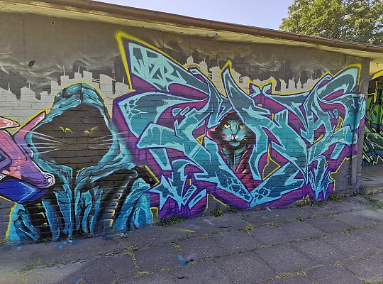 Bitwa o Miasto Lębork 2025 – eksplozja kolorów i 65011