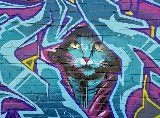 Bitwa o Miasto Lębork 2025 – eksplozja kolorów i 65012