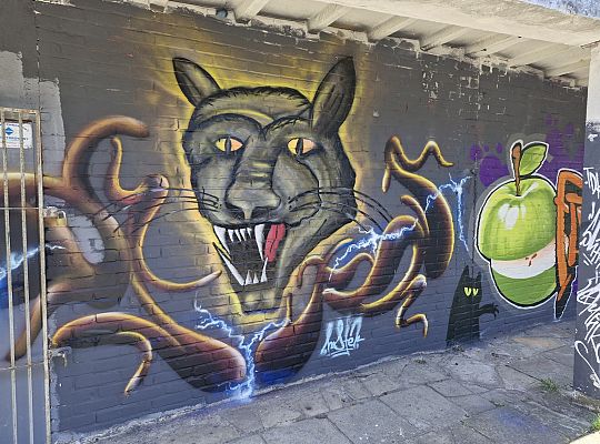 Bitwa o Miasto Lębork 2025 – eksplozja kolorów i 65014