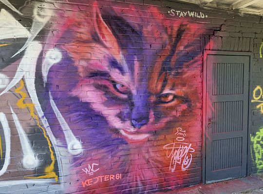 Bitwa o Miasto Lębork 2025 – eksplozja kolorów i 65017