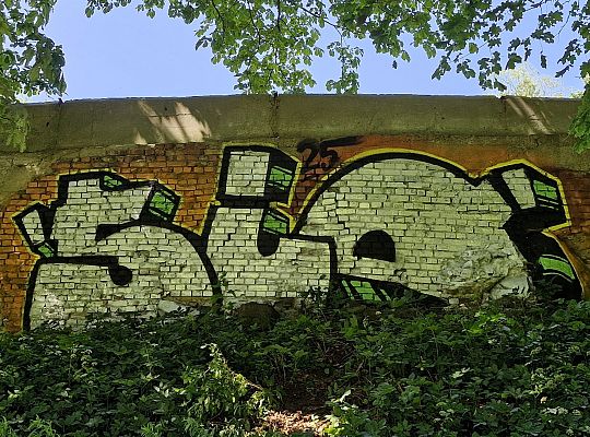 Bitwa o Miasto Lębork 2025 – eksplozja kolorów i 64998