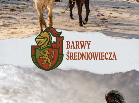 Kadry z epoki miecza i legend podczas Jarmarku św. 65249