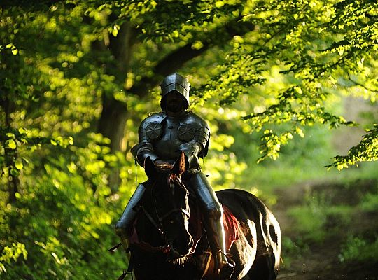 Kadry z epoki miecza i legend podczas Jarmarku św. 65245