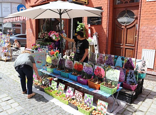Kolorowe stoiska, regionalne smaki i rękodzieło – 65341