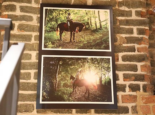 Lębork pokazał, że potrafi świętować – z 65730