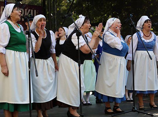 Lębork pokazał, że potrafi świętować – z 65814